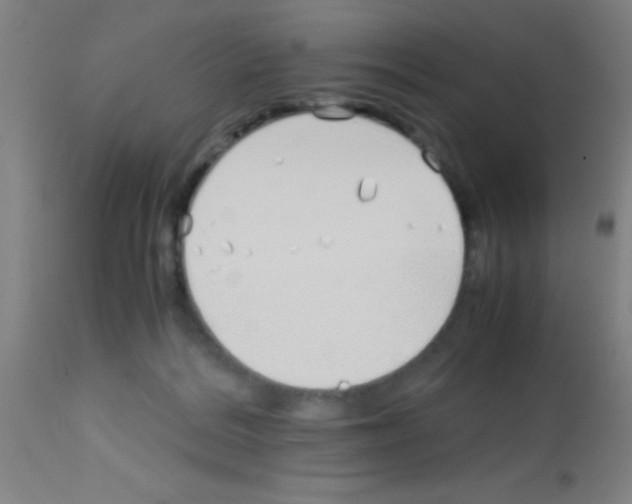 X0000113150220200910161228