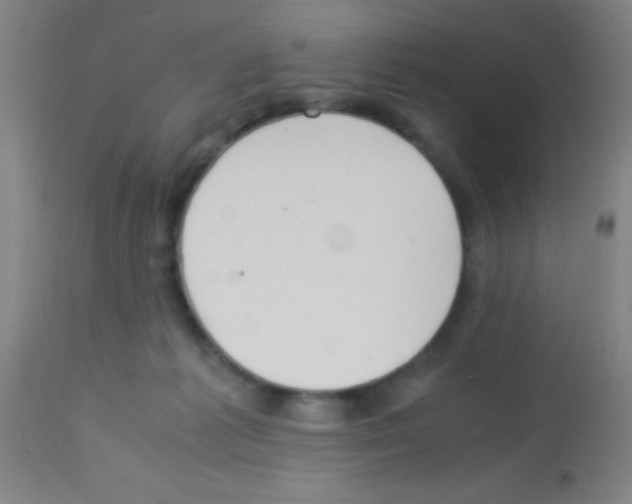 X0000113150221200910161228