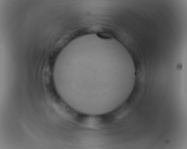 X0000113150223200910161228