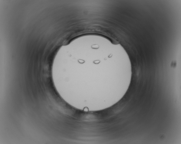 X0000113150224200910161228