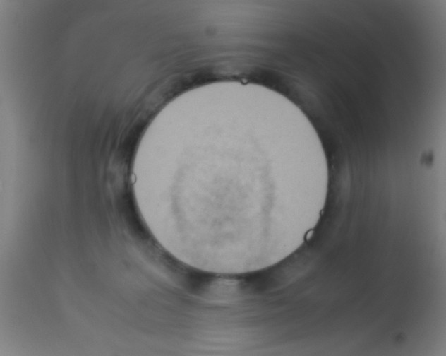 X0000113150227200910161227