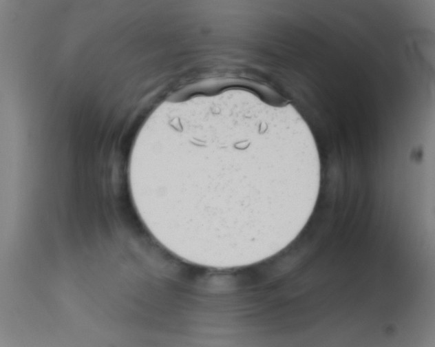 X0000113150228200910161227