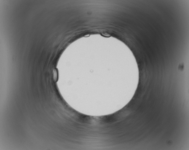 X0000113150229200910161227