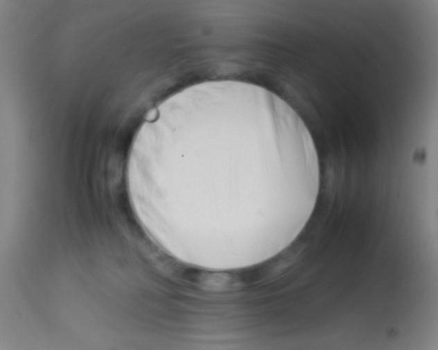 X0000113150230200910161227