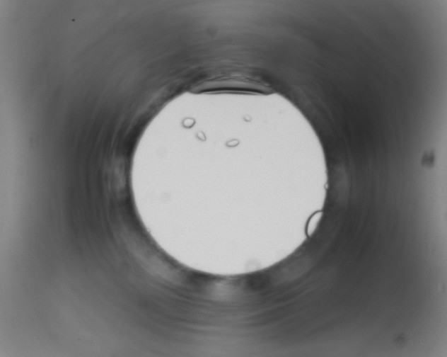 X0000113150232200910161227