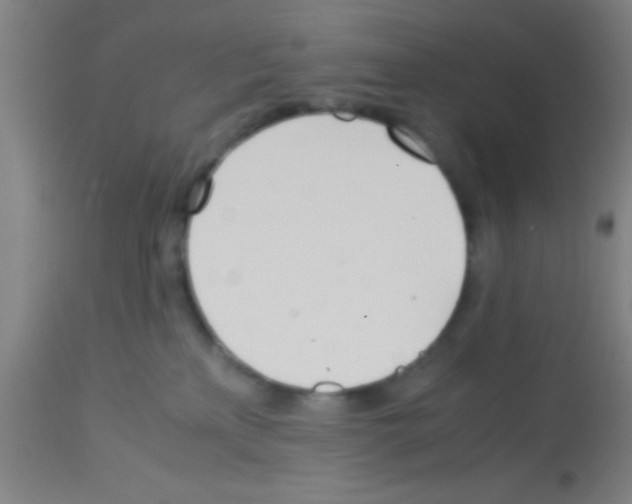 X0000113150233200910161227