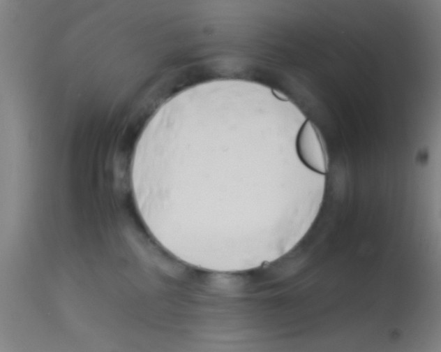 X0000113150234200910161227