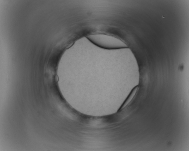 X0000113150235200910161227