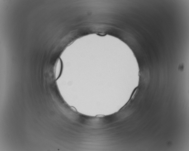 X0000113150237200910161227