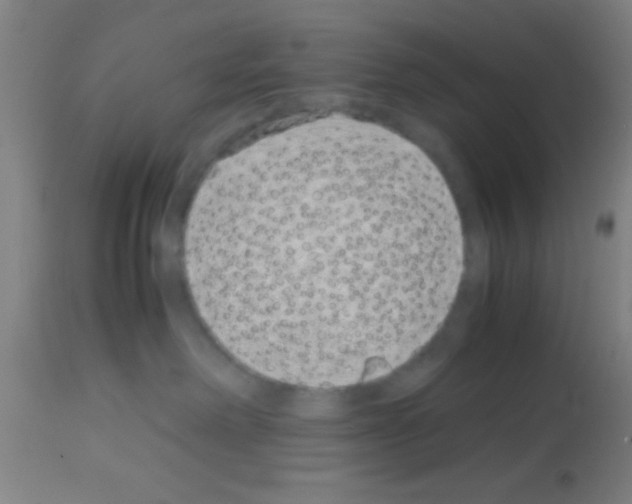 X0000113150238200910161227