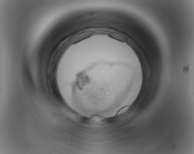 X0000113150239200910161227