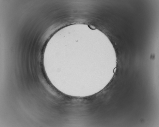 X0000113150242200910161227