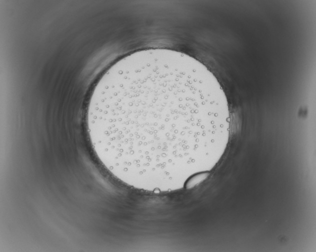 X0000113150243200910161227