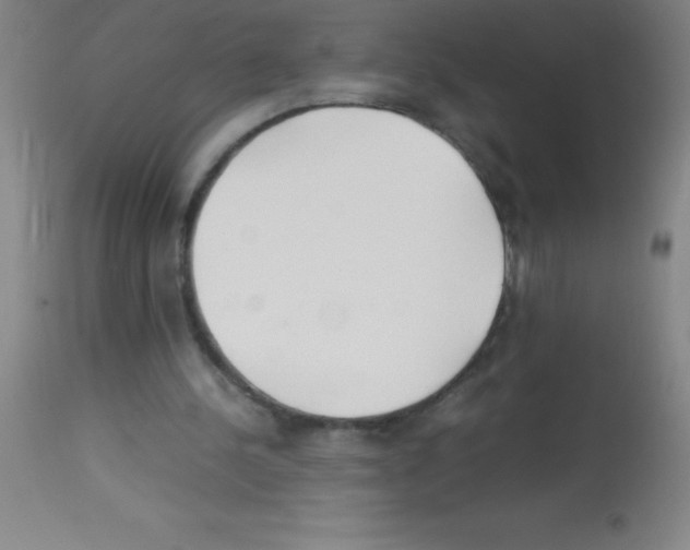 X0000113150244200910161227