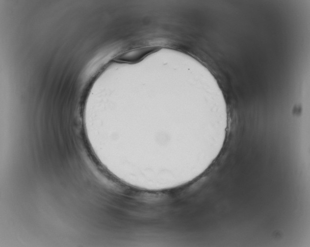 X0000113150245200910161227