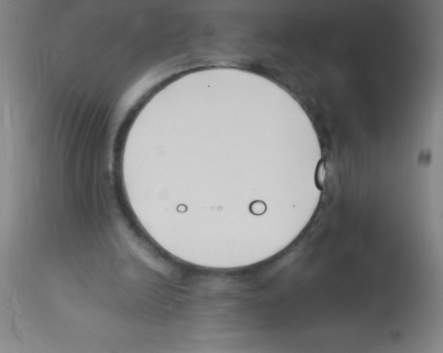 X0000113150246200910161227