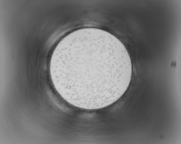 X0000113150247200910161227