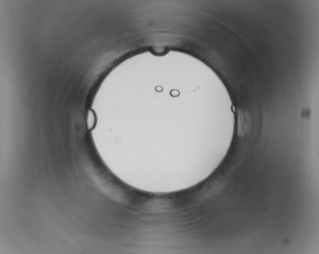 X0000113150252200910161227