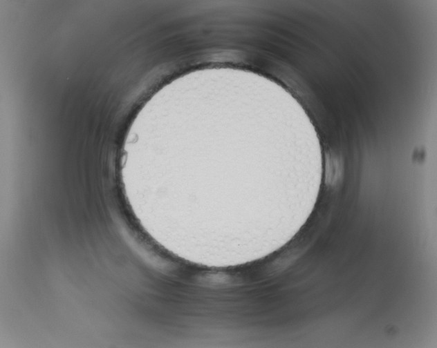 X0000113150253200910161227