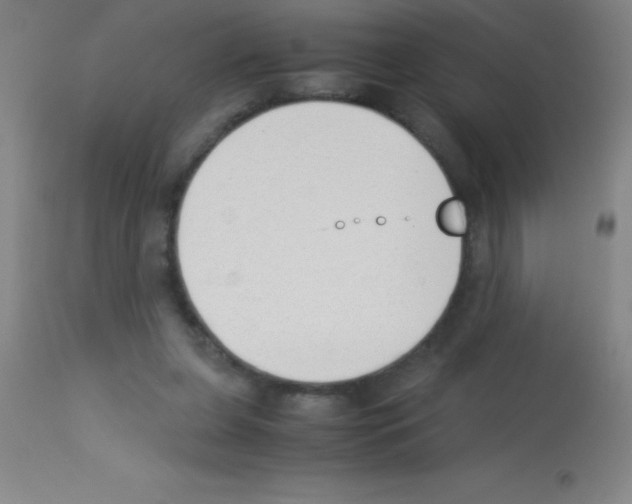 X0000113150255200910161227