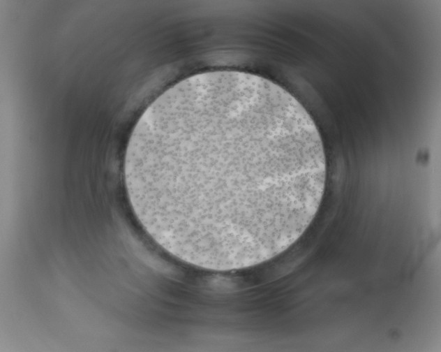 X0000113150261200910161227