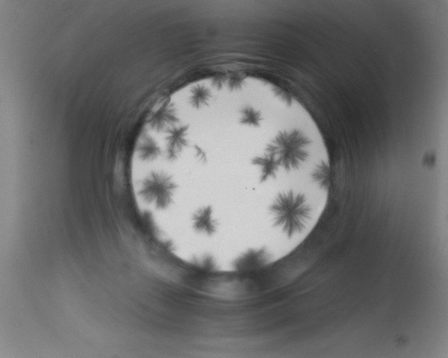 X0000113150267200910161227