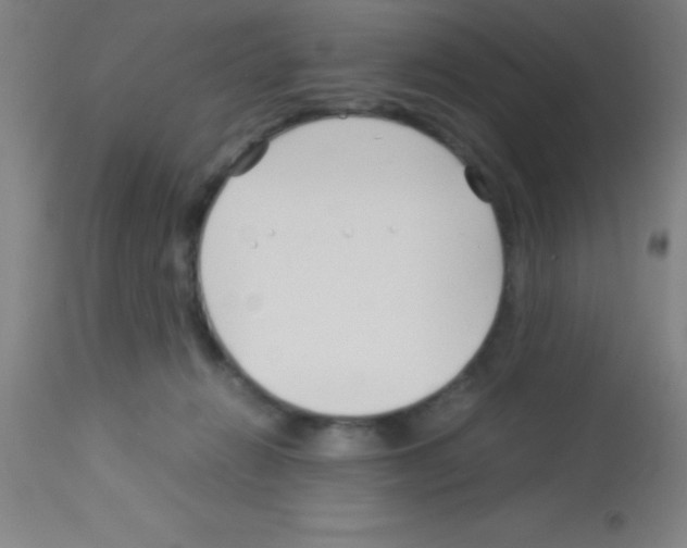 X0000113150270200910161227