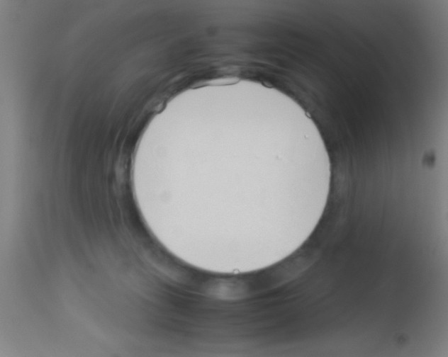 X0000113150275200910161227