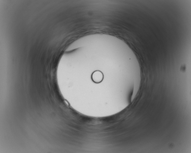 X0000113150276200910161227