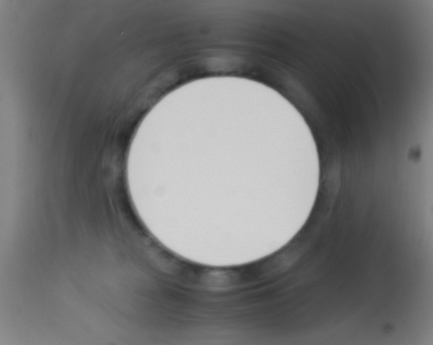 X0000113150277200910161227