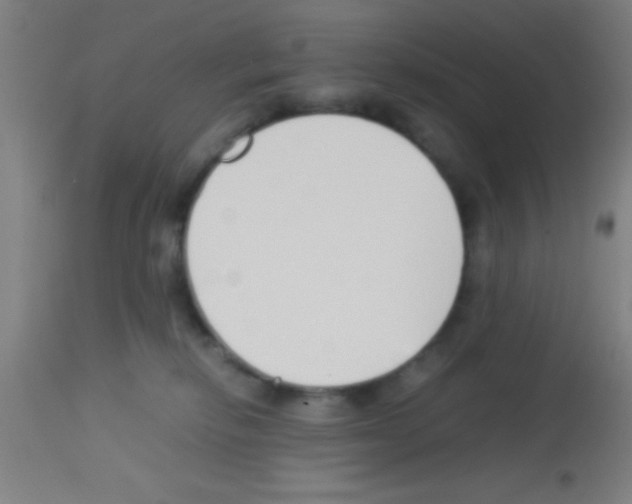 X0000113150278200910161227