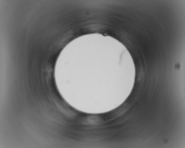 X0000113150279200910161227