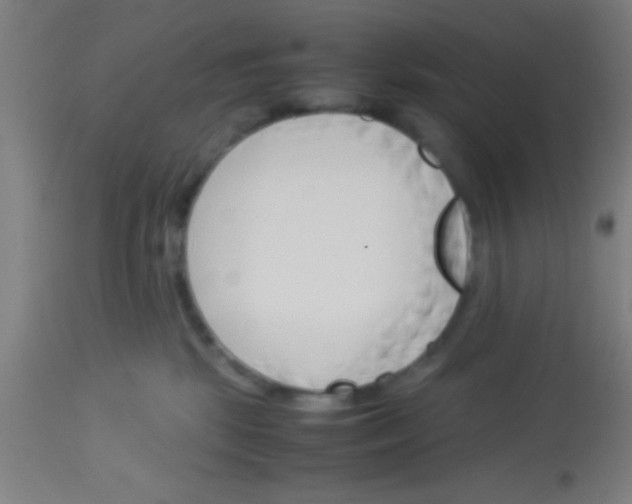 X0000113150281200910161227