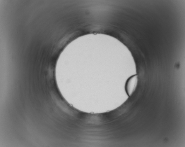 X0000113150282200910161227