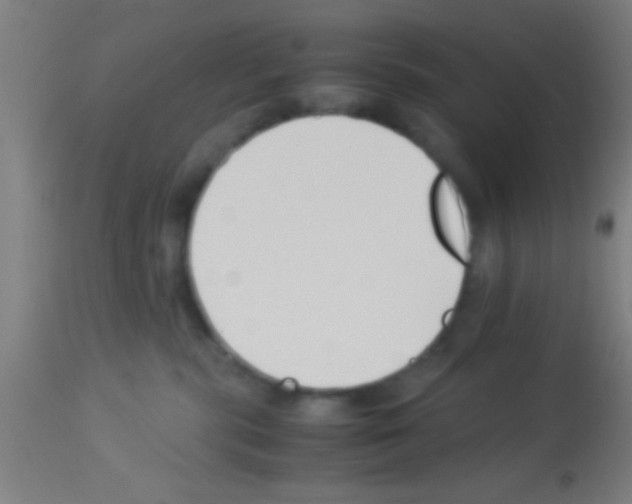 X0000113150283200910161227