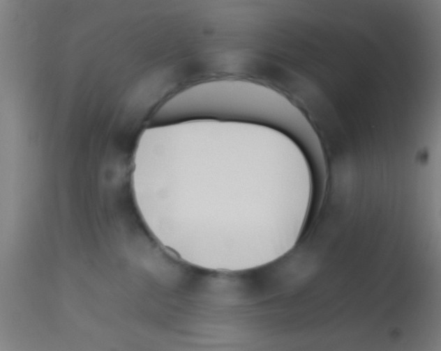 X0000113150284200910161227