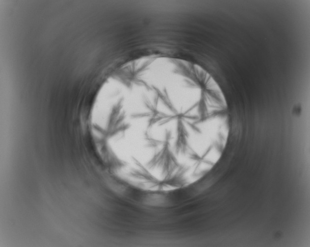 X0000113150285200910161227