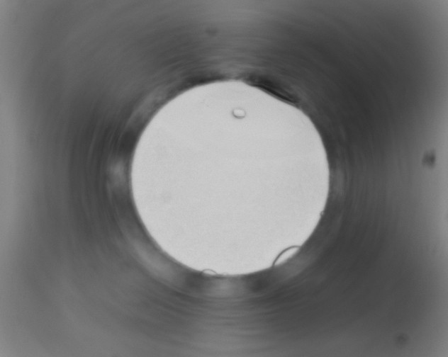 X0000113150286200910161227