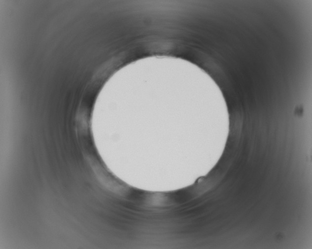 X0000113150287200910161227