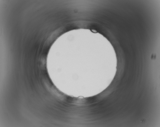 X0000113150288200910161227