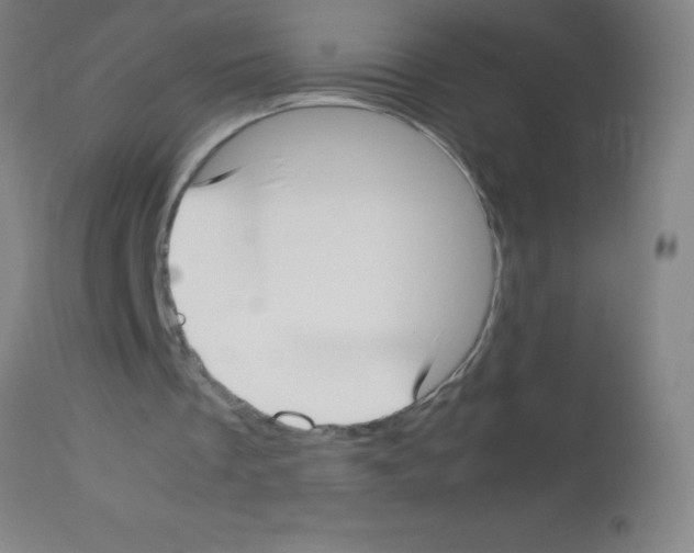 X0000113150289200910161227