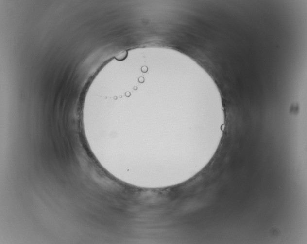 X0000113150290200910161227