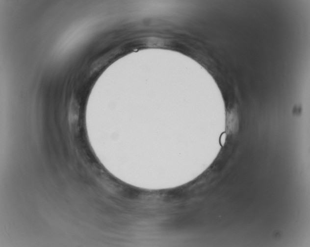 X0000113150291200910161227