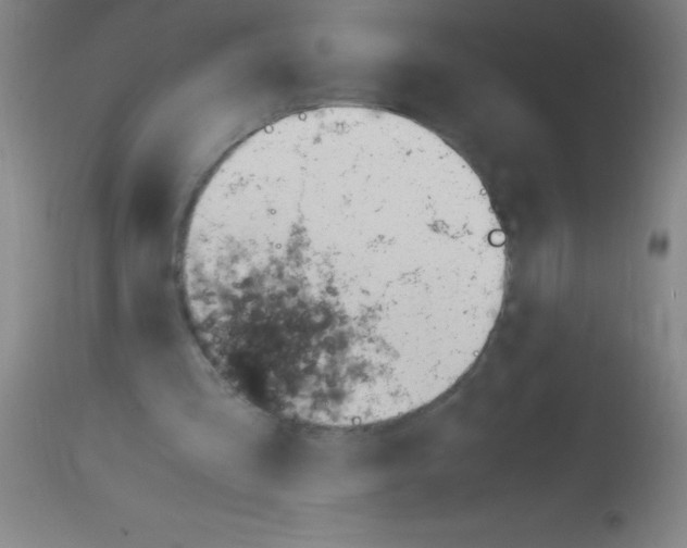 X0000113150293200910161227