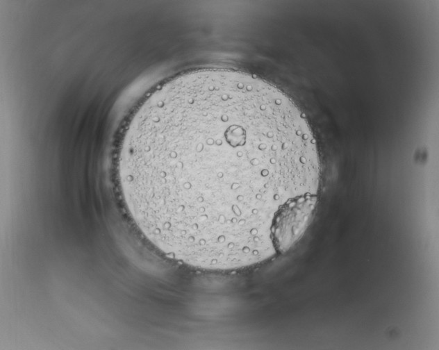 X0000113150294200910161227