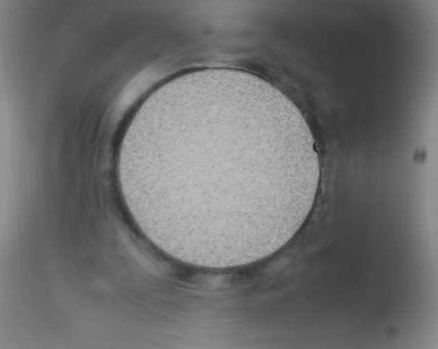 X0000113150295200910161227