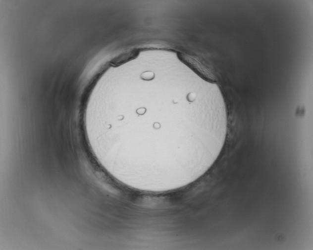 X0000113150296200910161227