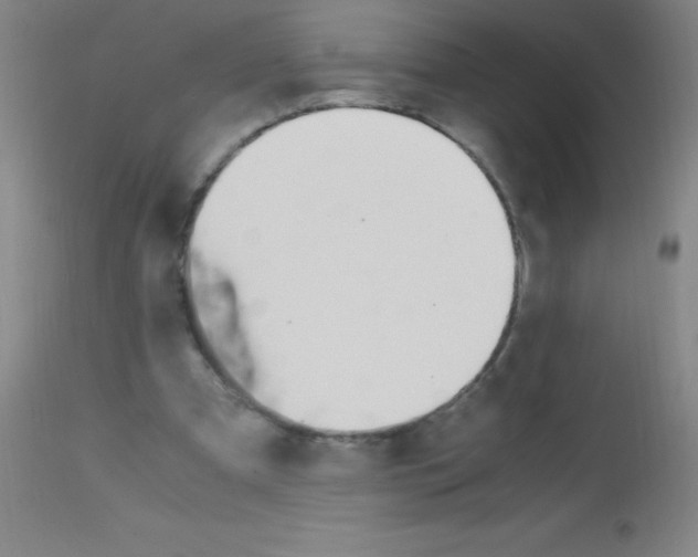 X0000113150297200910161227