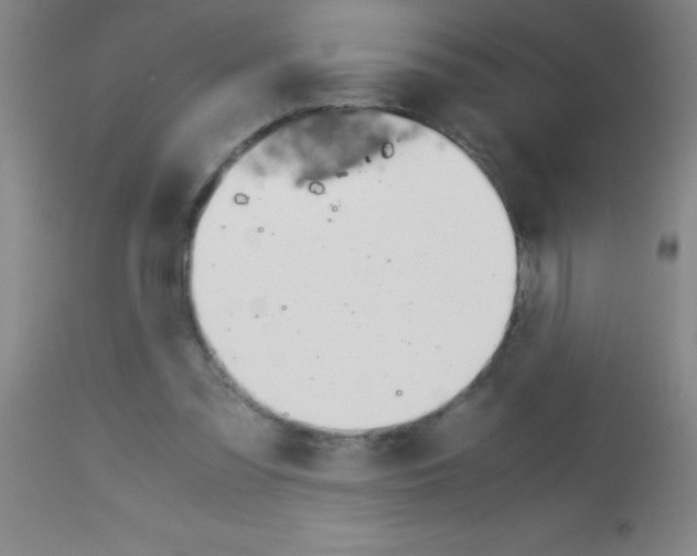 X0000113150301200910161226