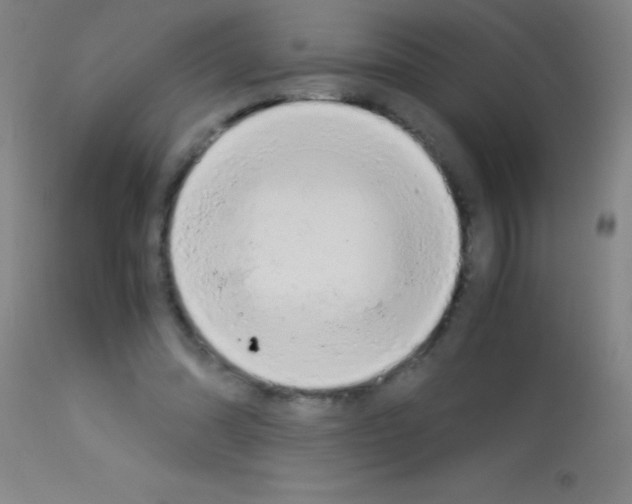 X0000113150302200910161226